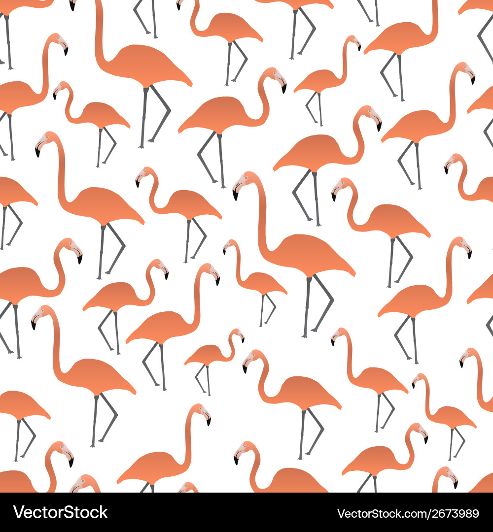 Flamingos seamless pattern eps10 Royalty Free Vector Image