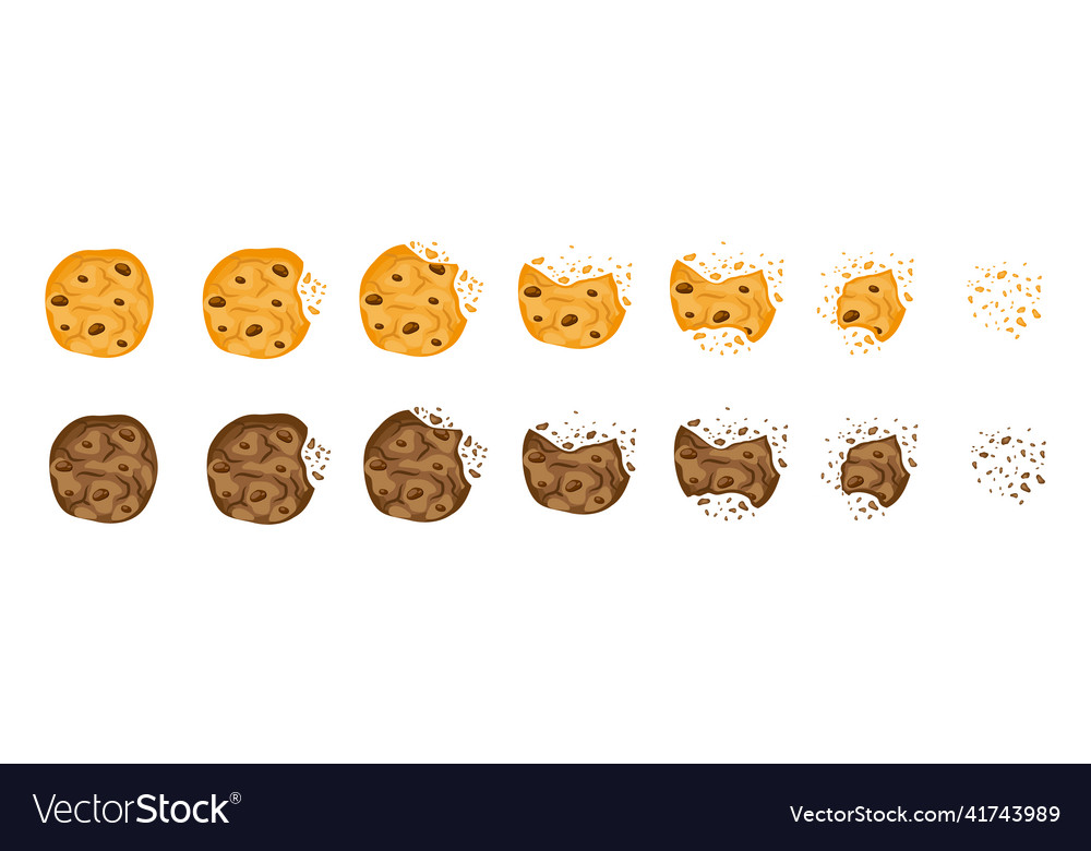 Set mit gebissenen Schokoladen-Cookies