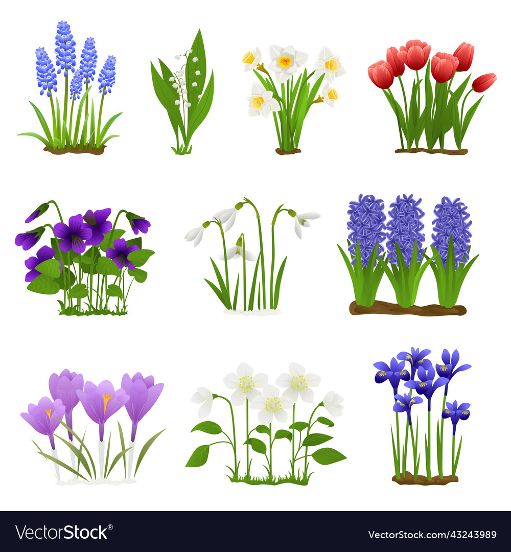 Spring flowers flat set Royalty Free Vector Image