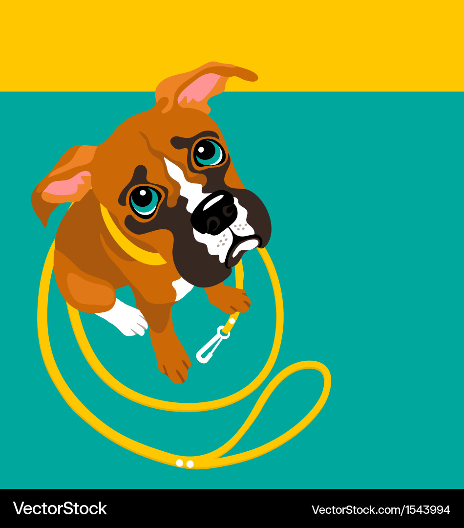 Boxer Royalty Free Vector Image - VectorStock