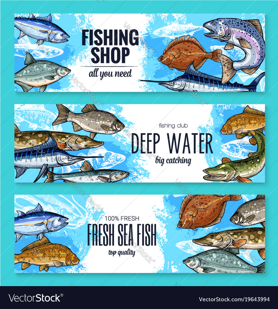 Sketch Banners Of Fish For Fishing Shop Royalty Free Vector