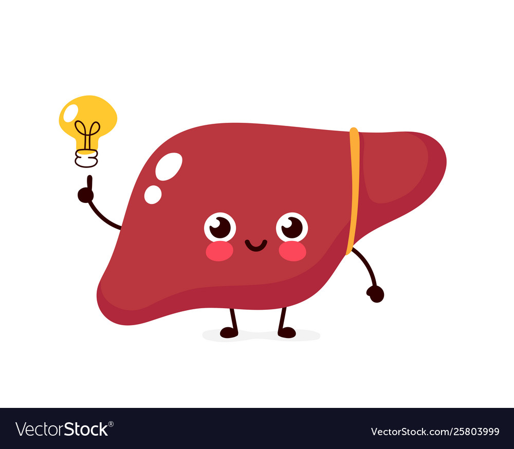 Happy cute liver with lightbulb character