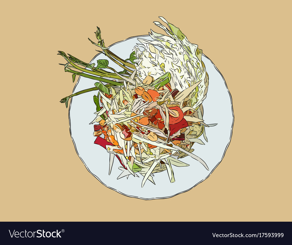 Papaya salad or som-tum hand drawn sketch Vector Image
