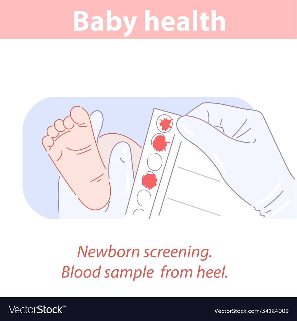 blood-test-taken-from-heel-newborn-baby-royalty-free-vector