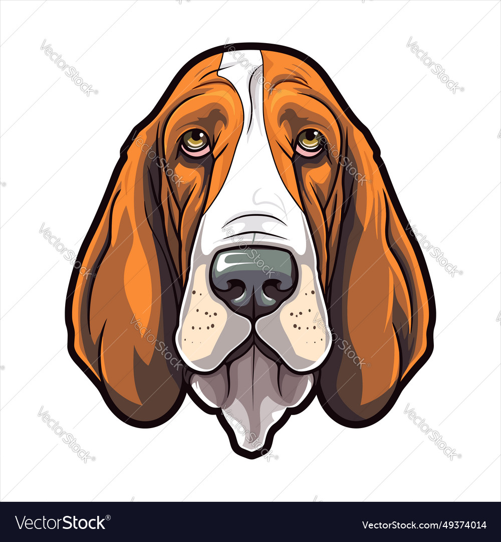 Basset hound dog breed cute cartoon kawaii Vector Image