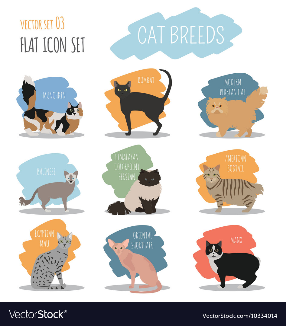 Cat breeds icon set flat style Royalty Free Vector Image