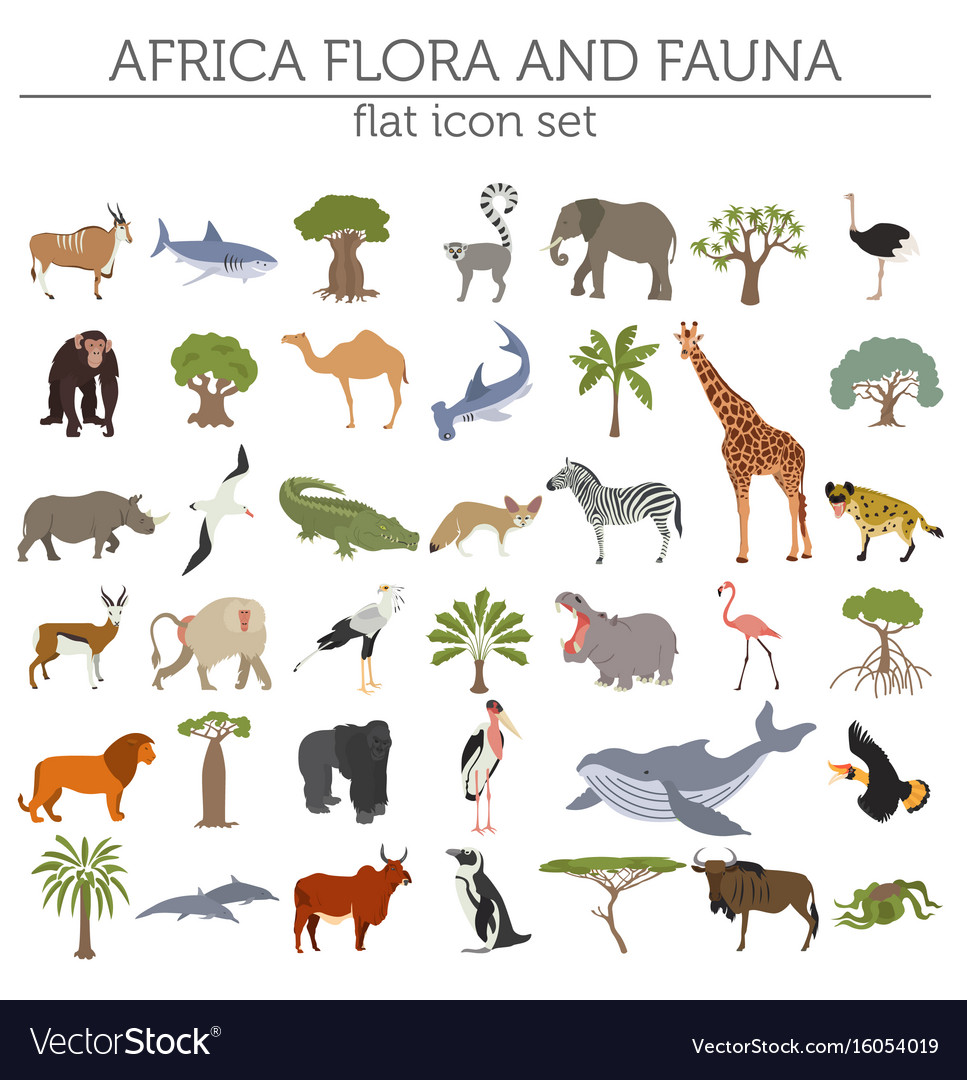 Flat africa flora and fauna map constructor Vector Image