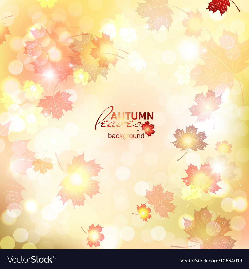 Fuzzy soft warm autumn background