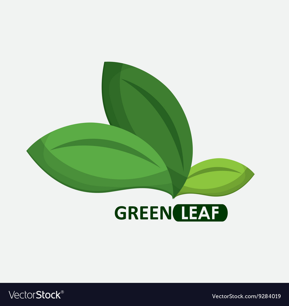 Green design leaf icon white background graphic Vector Image