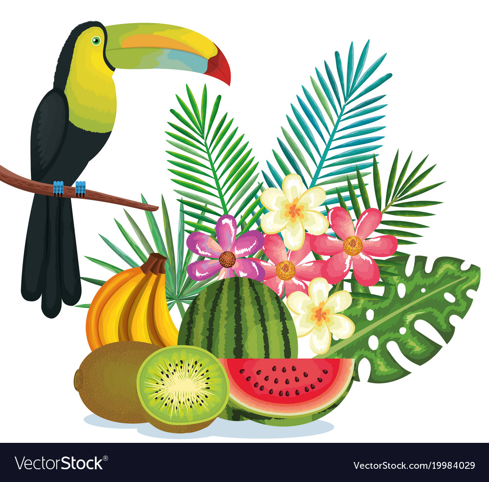 Tropical garden with fruits and toucan