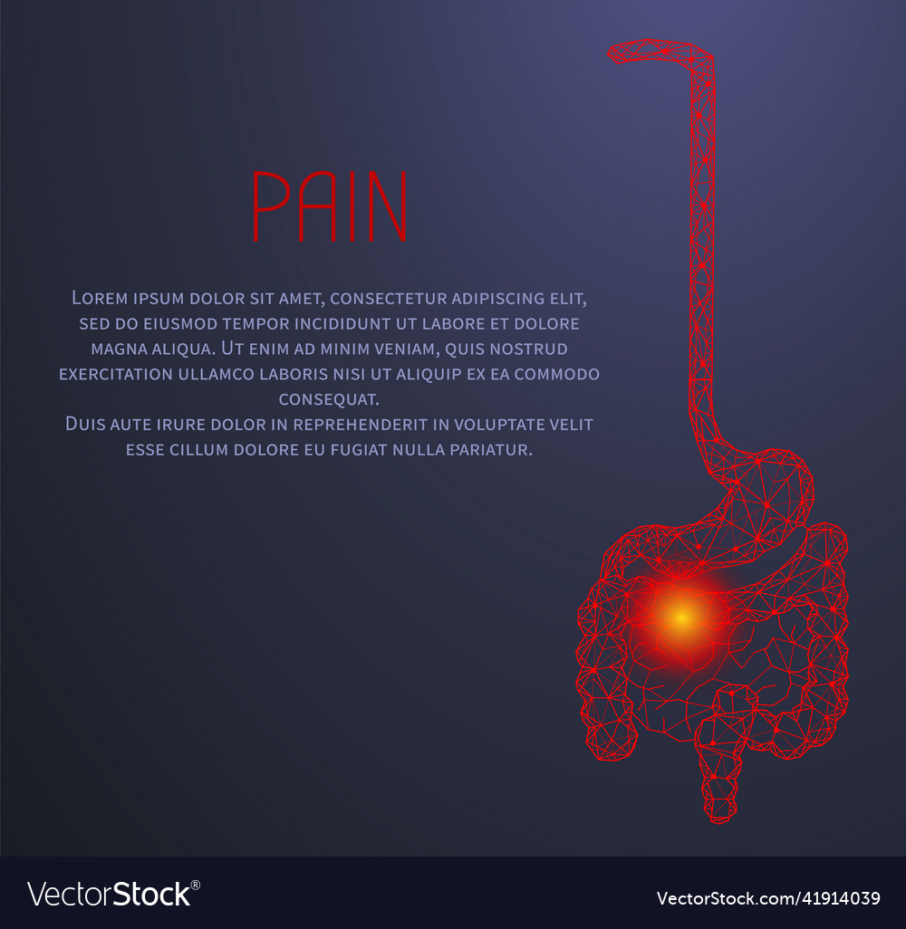 Polygonal stomach and intestines modern depiction