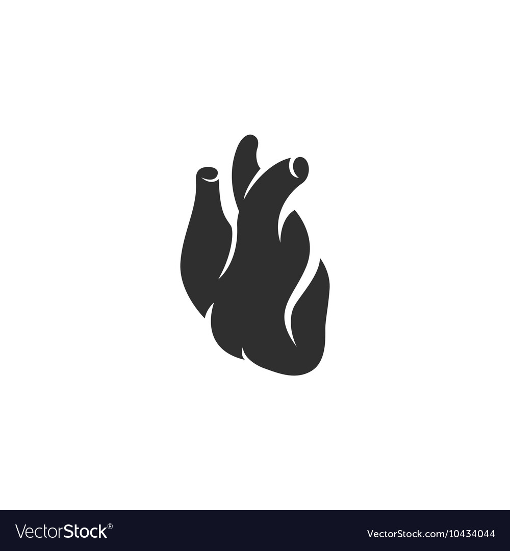 Anatomical heart icon on a white background Vector Image