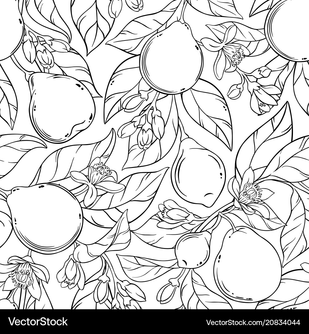 Bergamot seamless pattern Royalty Free Vector Image