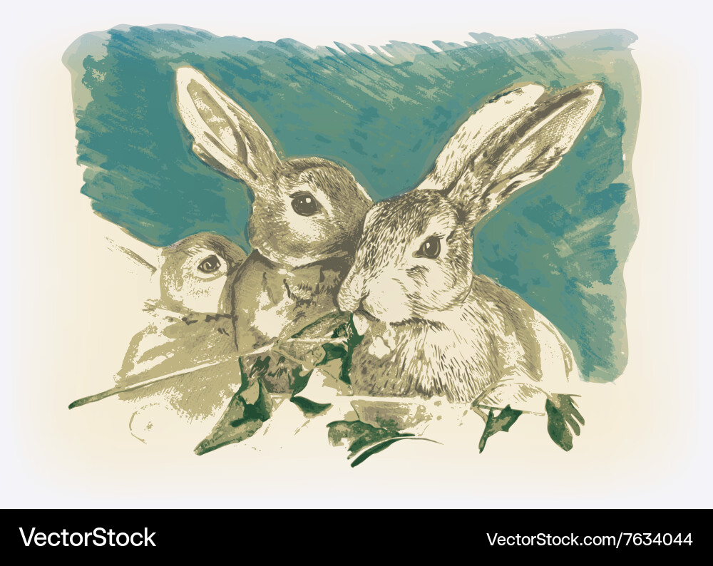 Hares Royalty Free Vector Image - VectorStock