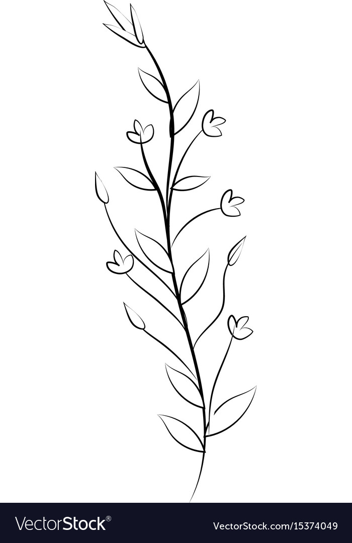 Line rustic branch with leaves and flowers Vector Image