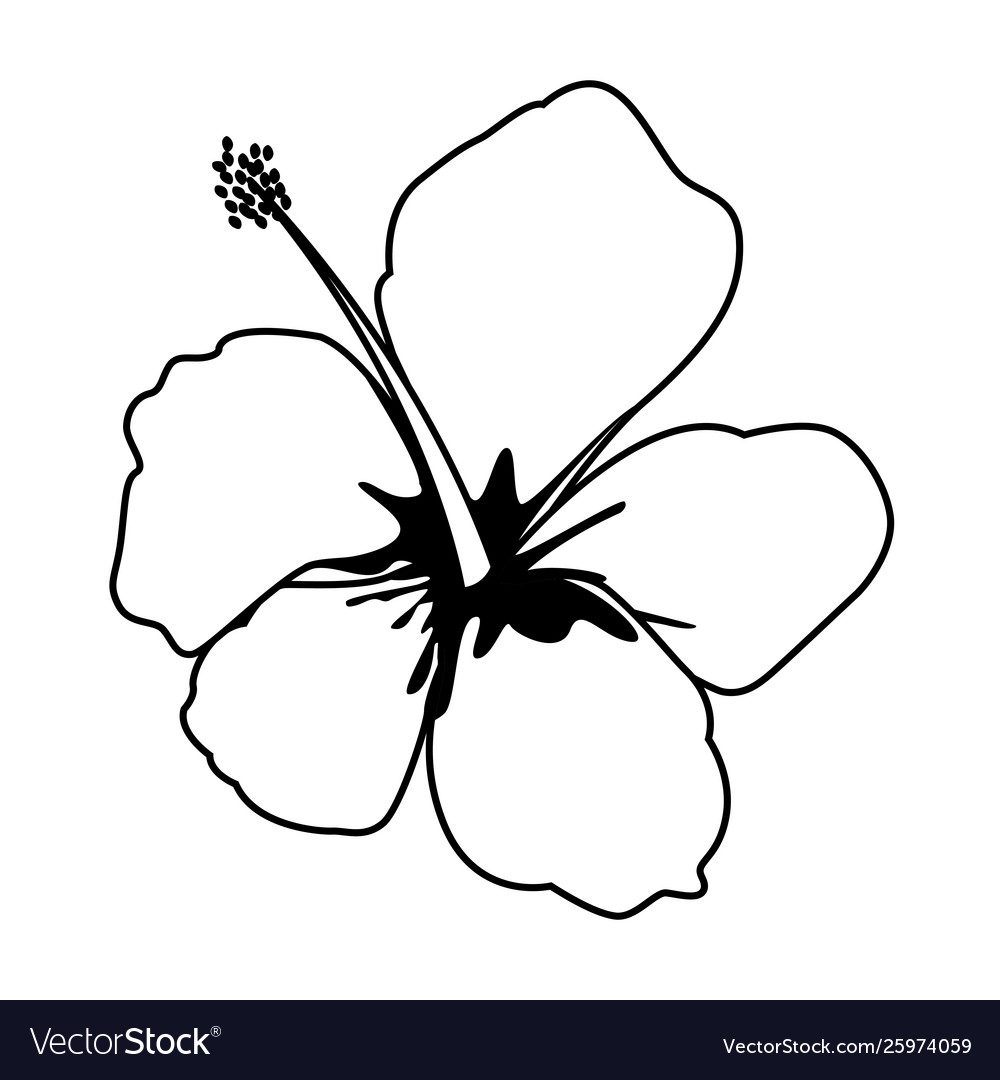 Lotus blossom flowers icon cartoon in black Vector Image