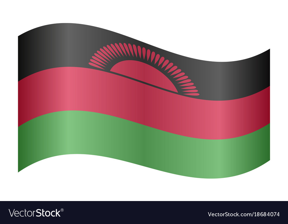 Flag Of Malawi Waving On White Background Vector Image