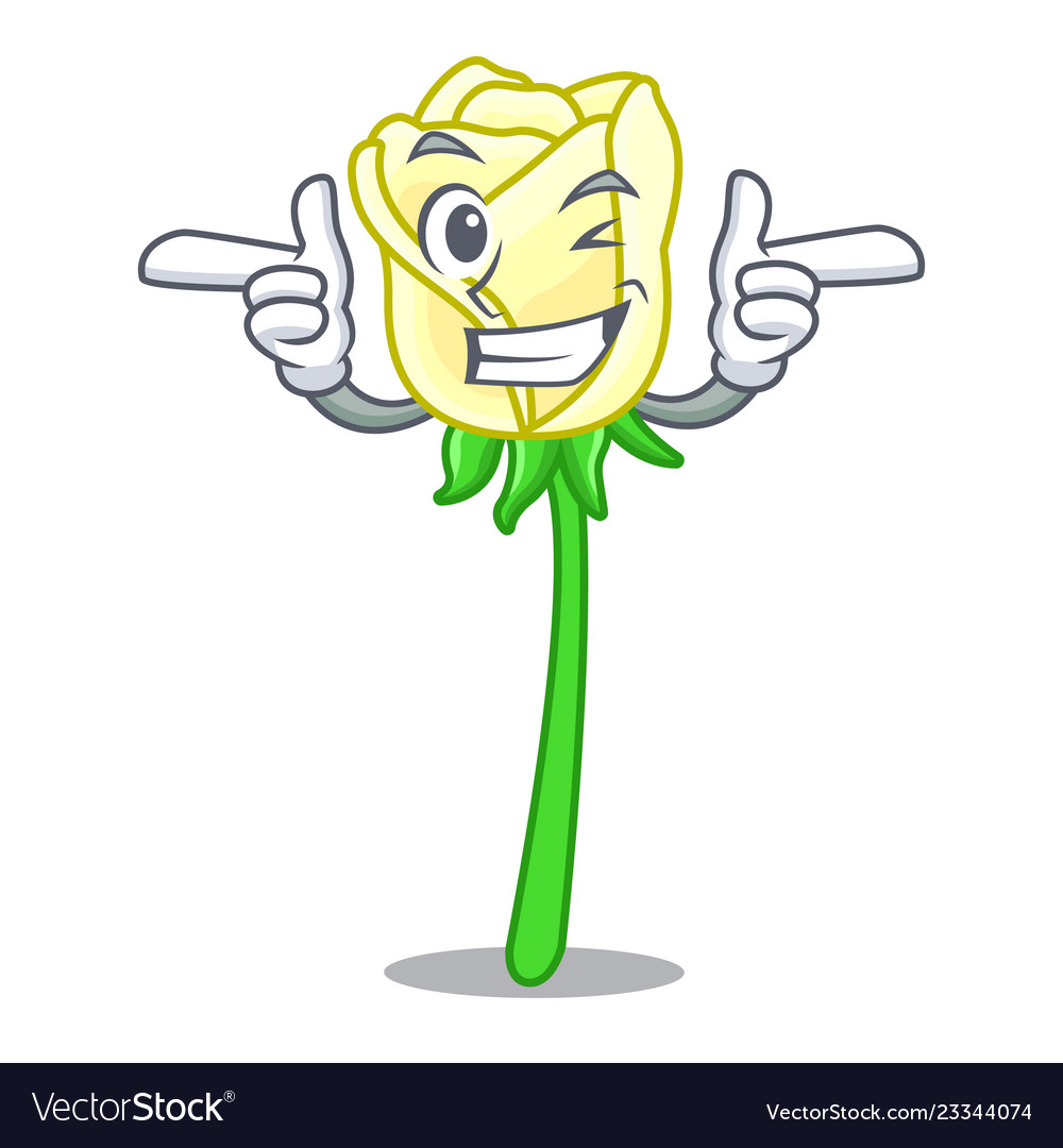 Wink white rose isolated on the mascot