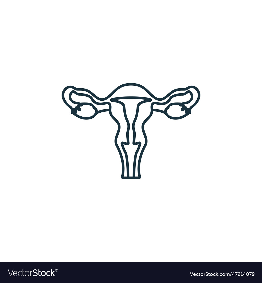 Uterus icon monochrome simple sign from anatomy Vector Image