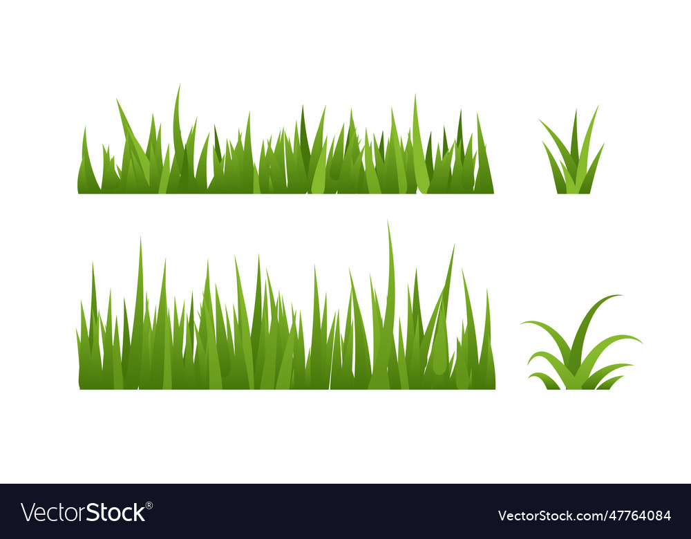 Beautiful Grass Green Grass Of The Shape Vector Image