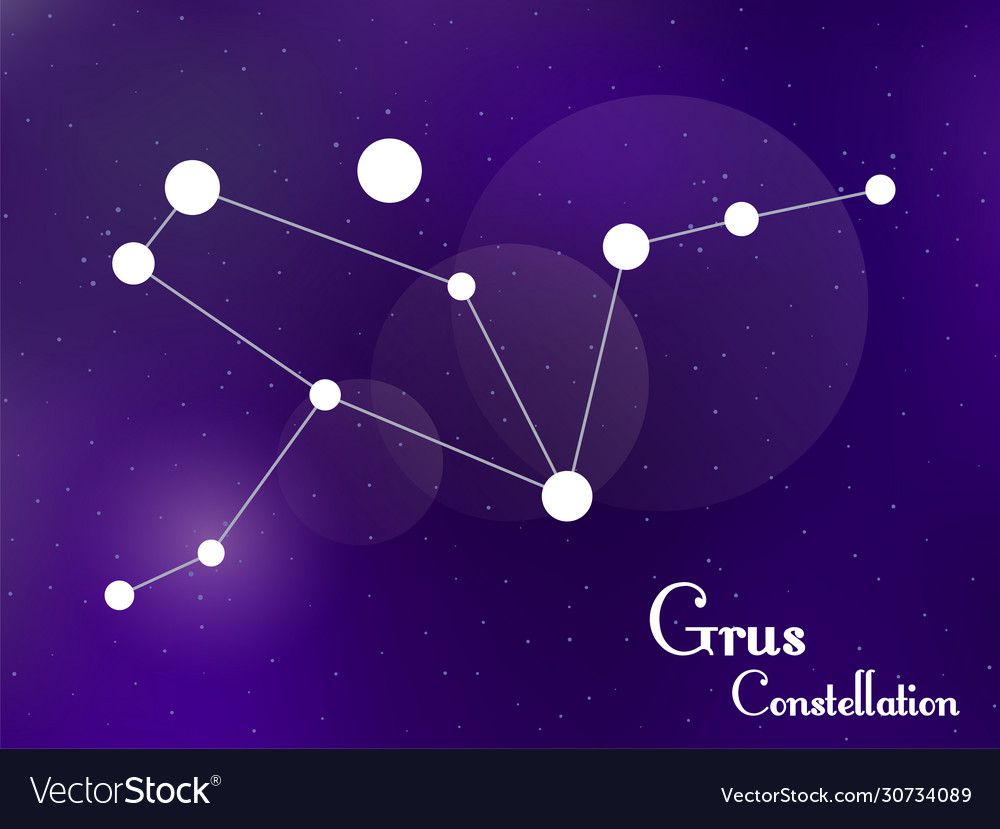 Grus constellation starry night sky cluster Vector Image