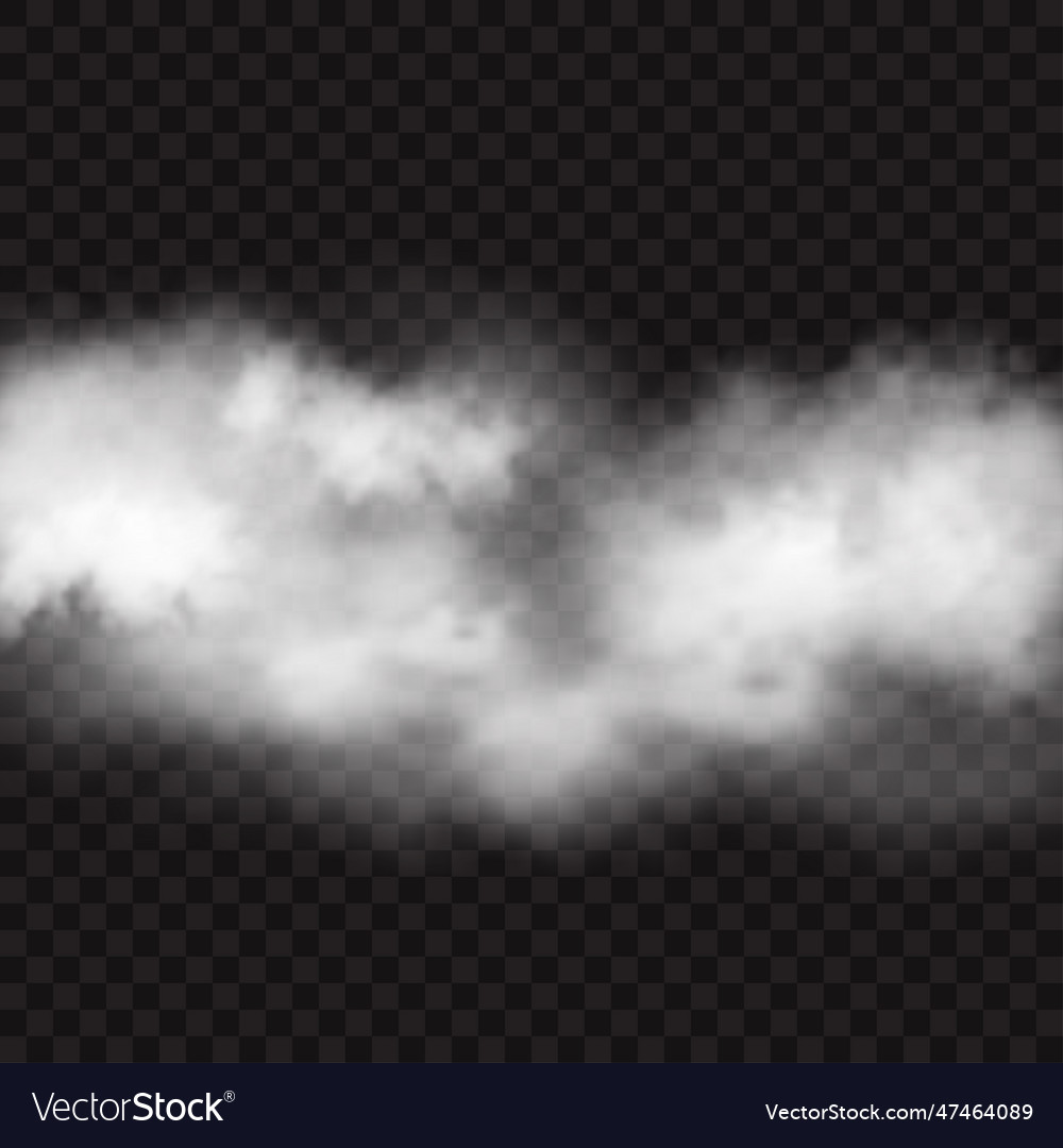 White steam isolated on transparent backdrop Vector Image