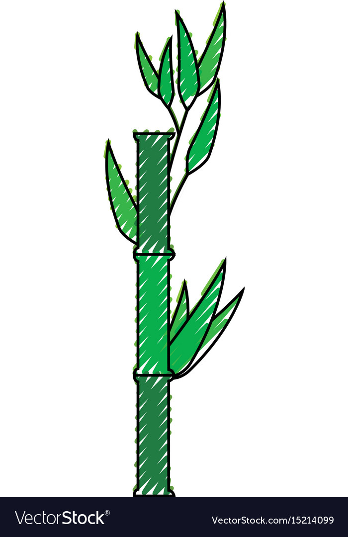 Bamboo japanese plant Royalty Free Vector Image