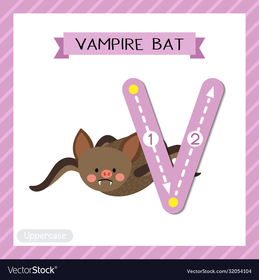 Letter v uppercase tracing vampire bat Royalty Free Vector