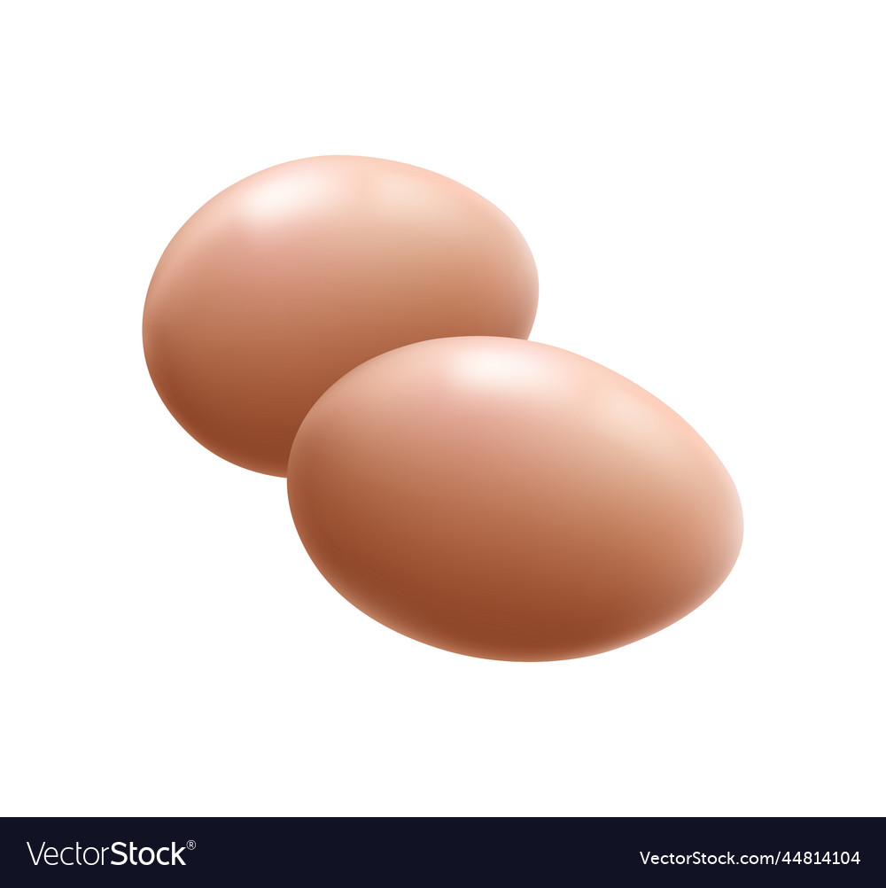 Pair of eggs composition Royalty Free Vector Image