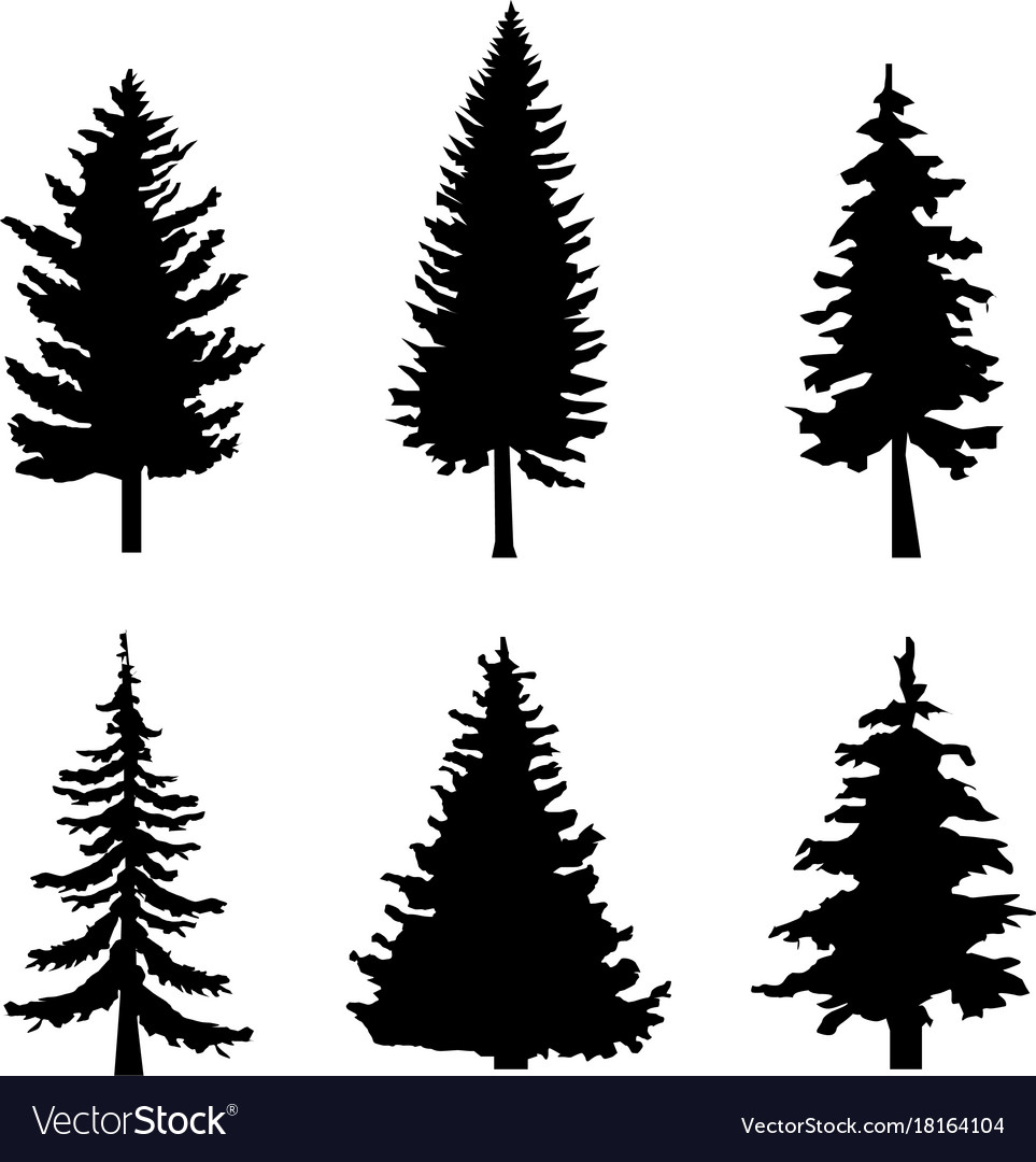 Download Set of black silhouettes of pine trees on white Vector Image