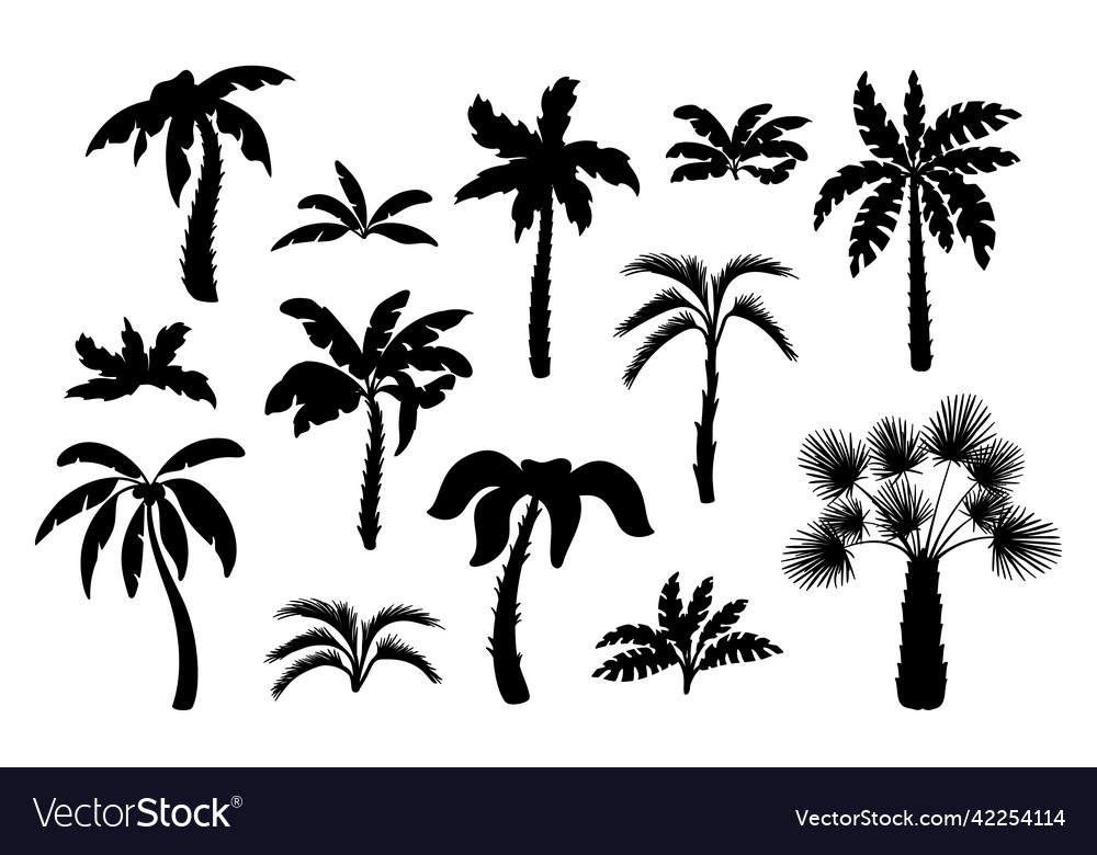 Black palm tree silhouettes miami hawaii tropical