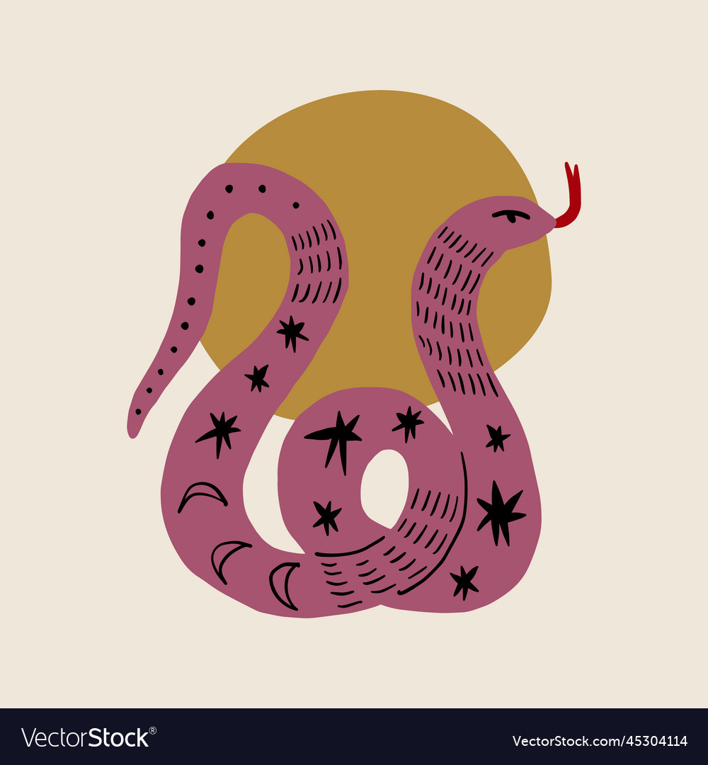 Boho mystic snake doodle esoteric astrology Vector Image