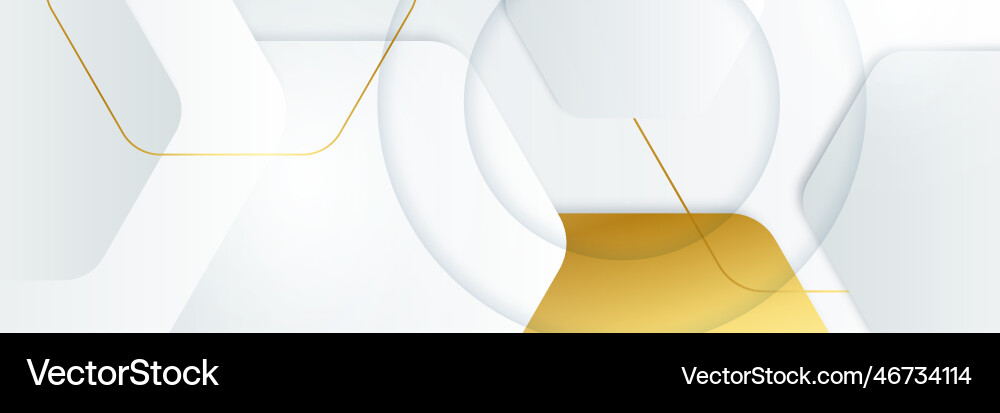 Modern minimal and clean white gold background Vector Image