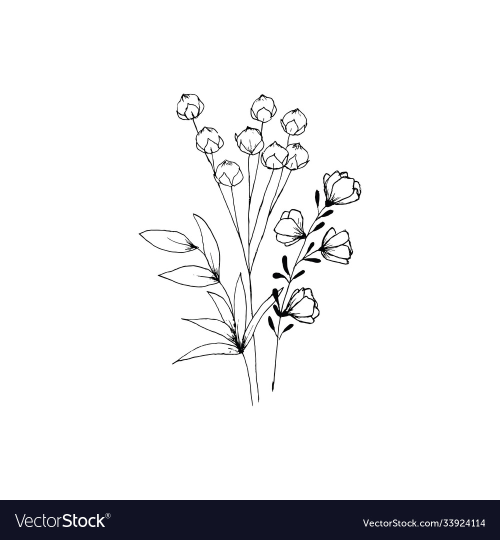 Sketch style hand drawn floral Royalty Free Vector Image