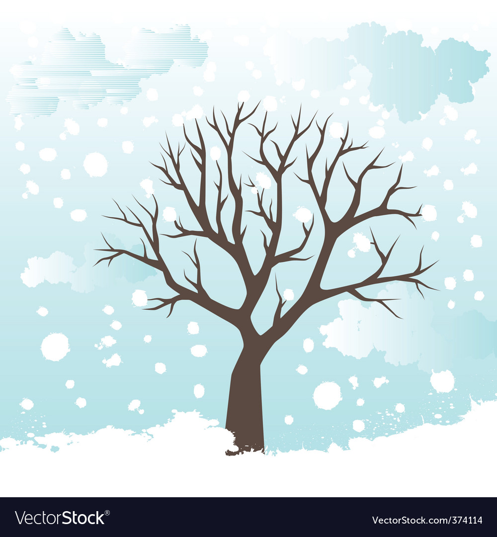 Download Winter tree Royalty Free Vector Image - VectorStock