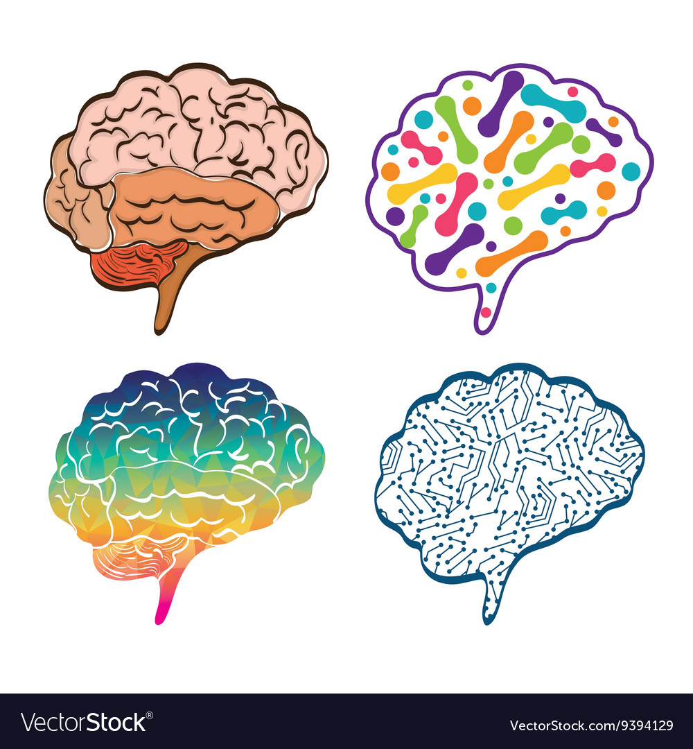 Human organ set of brain icon graphic