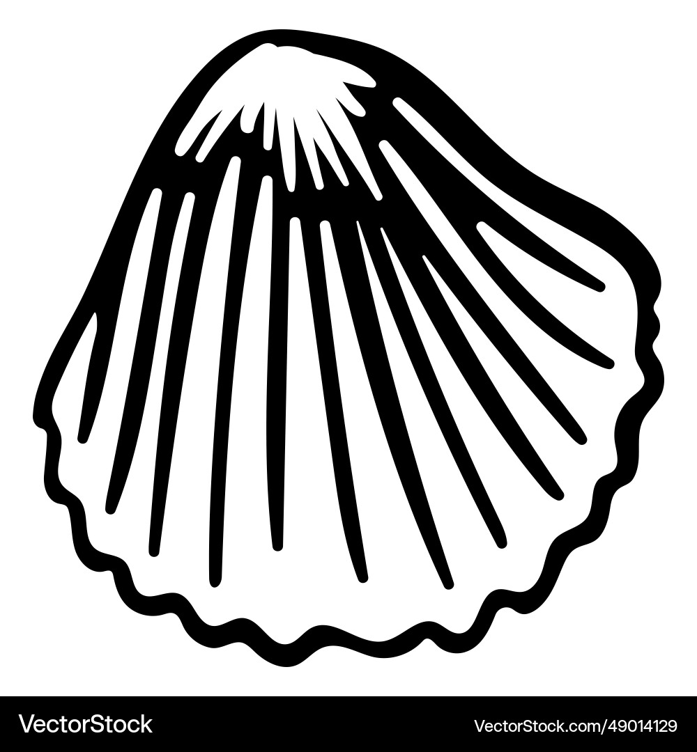 Stroke scallop seashell Royalty Free Vector Image