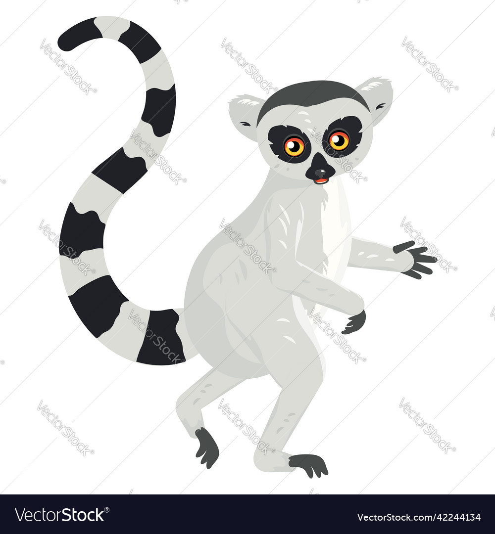 Cartoon lemur catta Royalty Free Vector Image - VectorStock