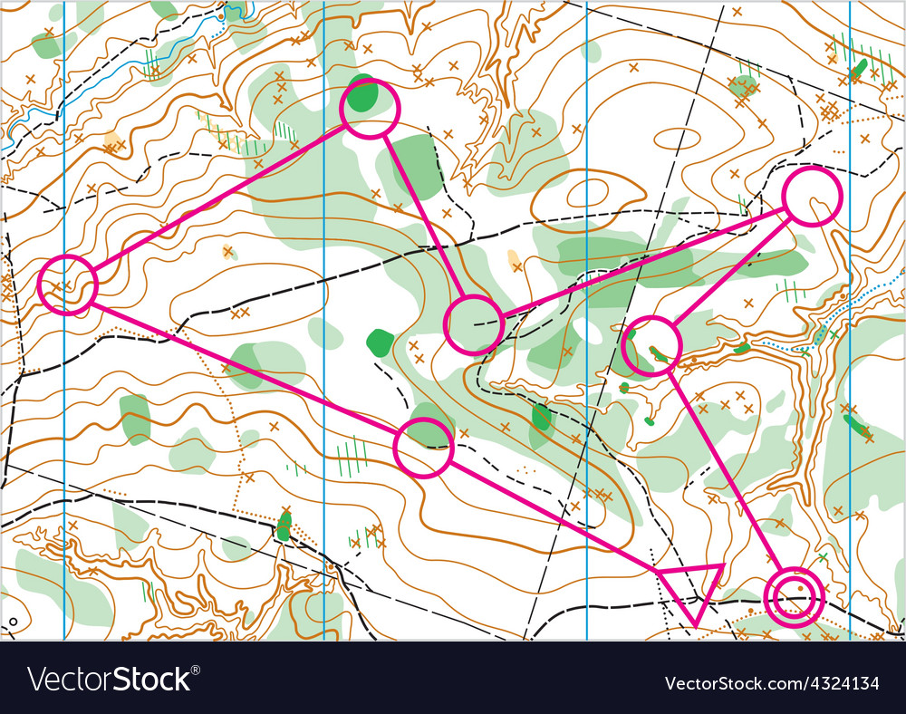 Topographic map Royalty Free Vector Image - VectorStock