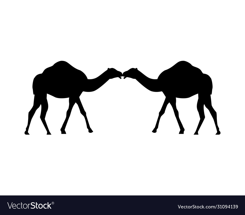 Camels animals silhouettes isolated icons Vector Image