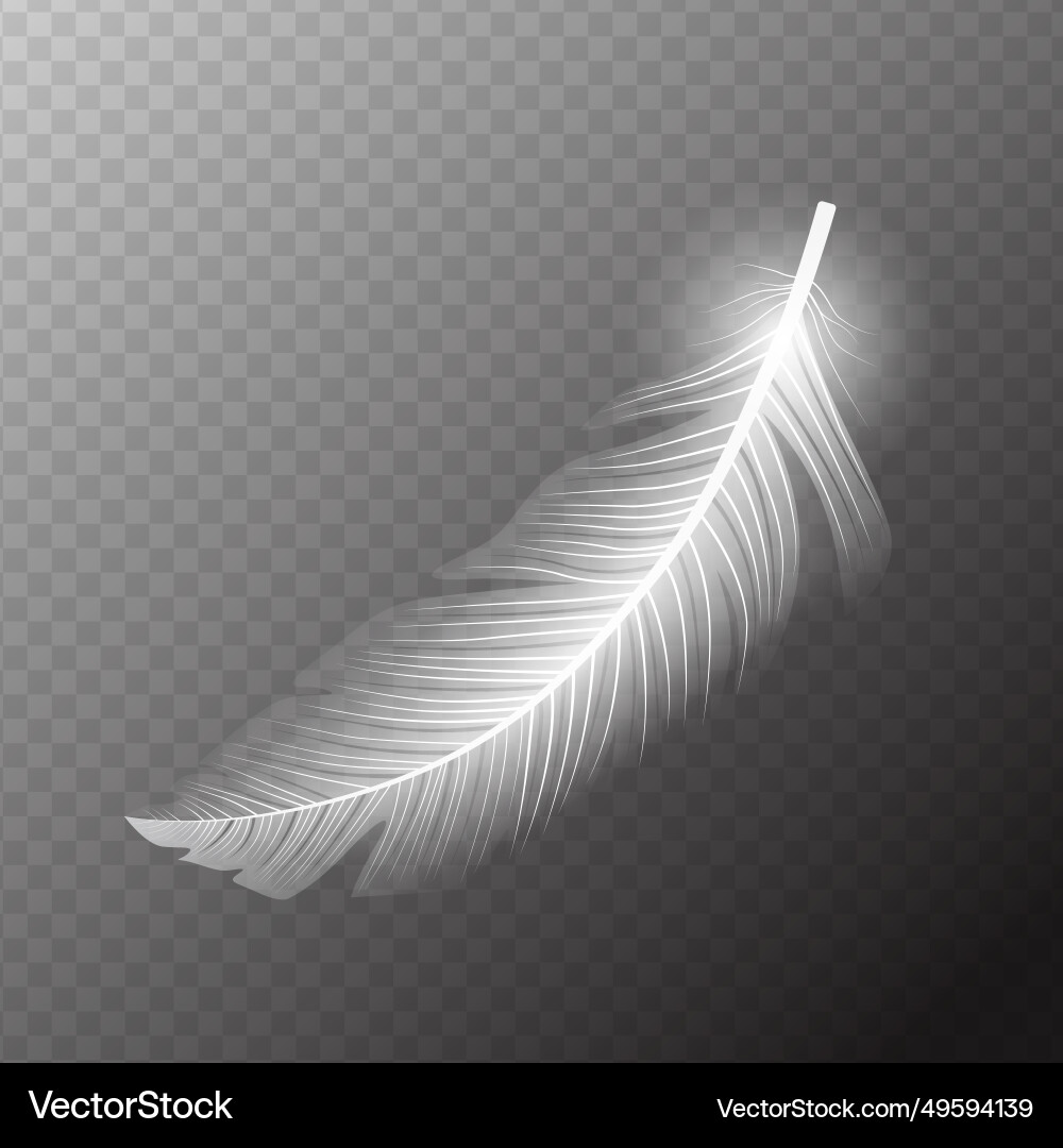 White flying feather Royalty Free Vector Image
