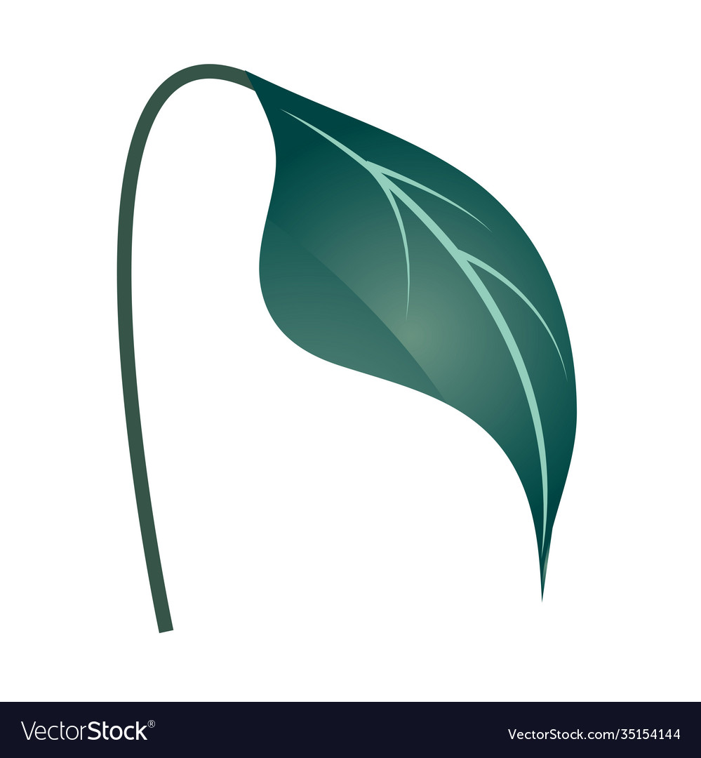 Leaf sproud nature foliage icon over white