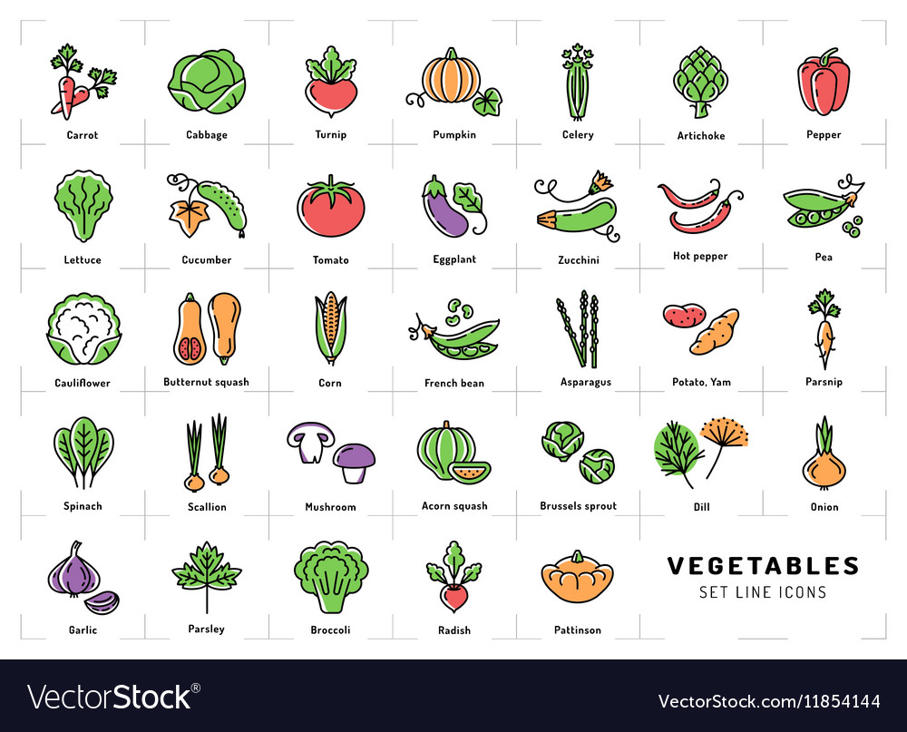 Vegetables icon isolated spices logo fresh Vector Image