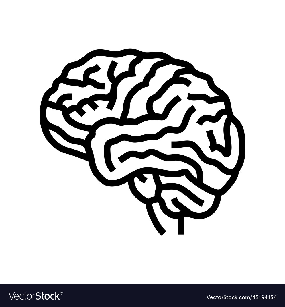 Human brain line icon Royalty Free Vector Image