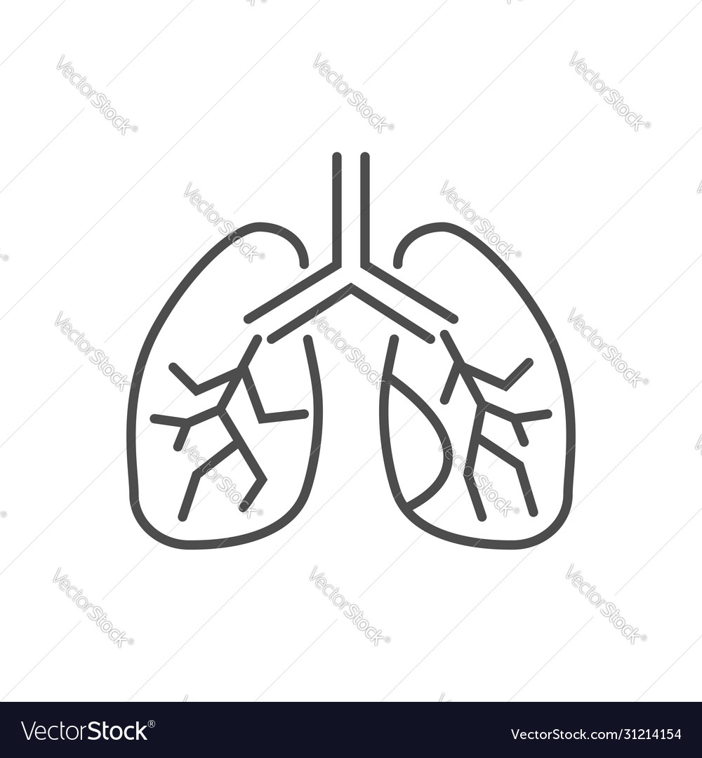 Lungs related thin line icon Royalty Free Vector Image