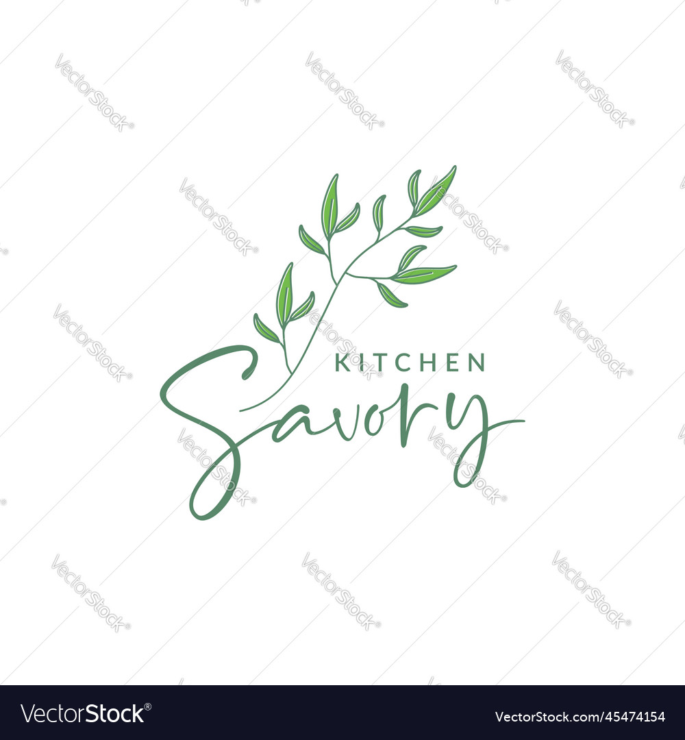 Plant leaves savory herb food spice kitchen