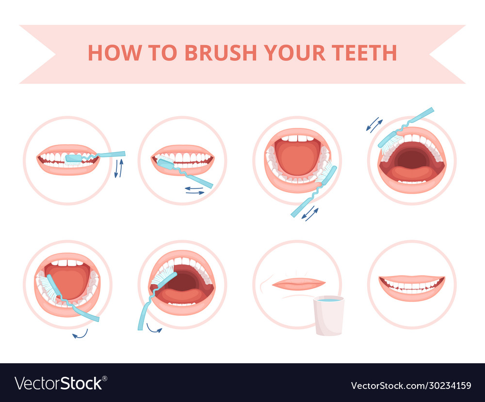 Brushing teeth kids hygiene tooth brushing Vector Image