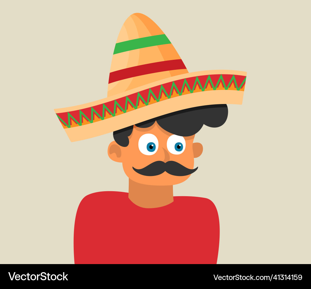 Flat mexican hat icon Royalty Free Vector Image
