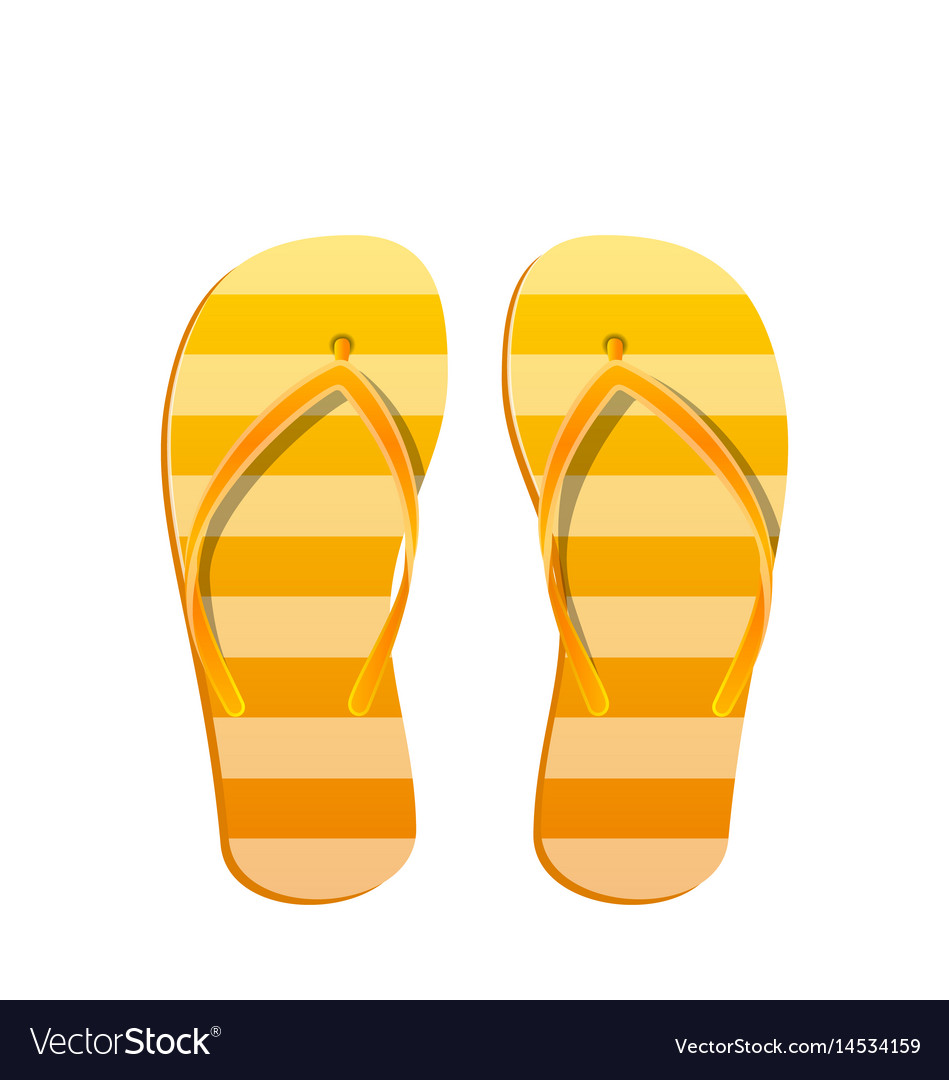 Pair flip flops isolated on white background Vector Image