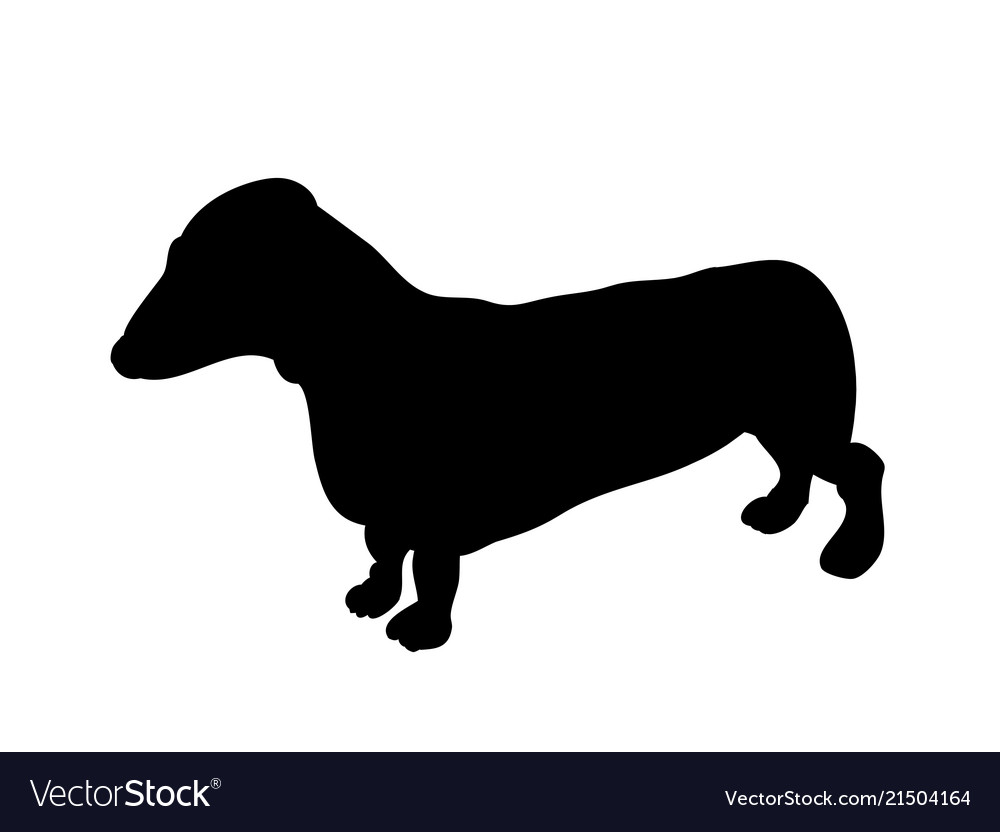 Dachshund stands dog silhouette